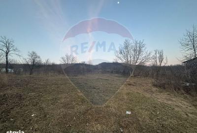 Spațiu comercial, în Buhoci - 3