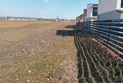 Teren de 3460 mp, în Dumbrava - 2