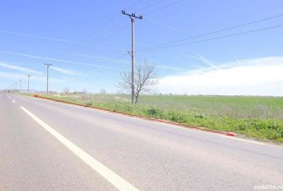 Teren în Dascălu - 3