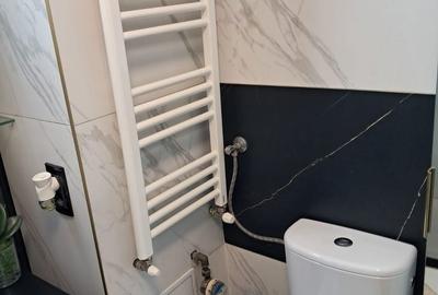Apartament cu 2 camere în Șega - 13