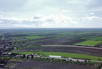 Teren în Amați - 3