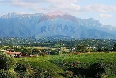 Teren 4,145mp Predelut / Strada Magurii - 9