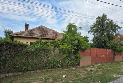 RECO IMOBILIARE CASA BATRANEASCA TINCA - 19