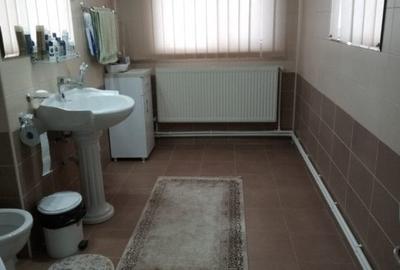 ZONA INDUSTRIALA -SPATIU COMERCIAL - 31
