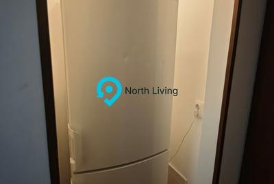 Apartament cu 4 camere decomandat, mobilat în Grivița - 10