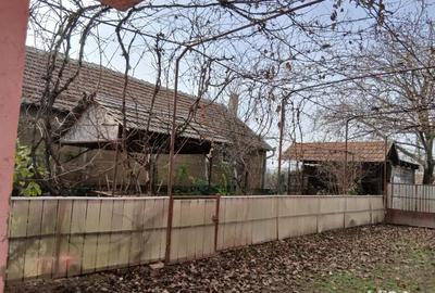 Casă cu 6 camere cu Teren 1500 Mp în Gepiu - 2