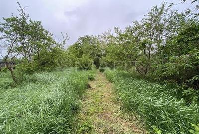 Apartament cu 5 camere decomandat în Turnișor - 2