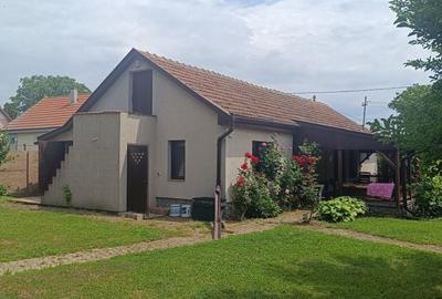 Casă cu 2 camere în Santăul Mare - 5