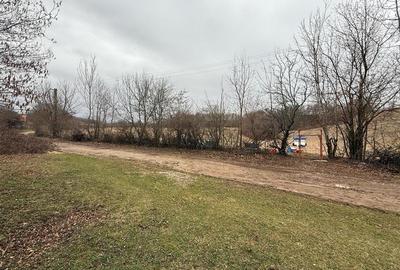 RECO , teren intravilan la 2,5 euro in Tomnatic, Vadu Crisului - 2