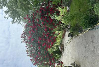 Casa de vanzare - 11