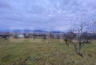 Teren de vanzare 10 ari intravilan | Zona Unirea | La d - 1