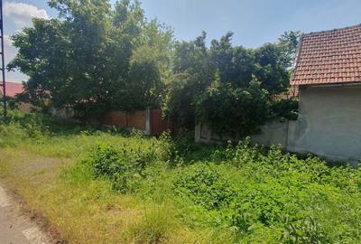 Casă cu 3 camere cu Teren 6674 Mp în Macea - 1