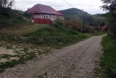 Vanzare casa Morut, judetul Bistrita-Nasaud - 1