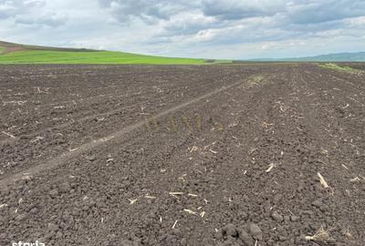 Teren de 10200 mp, în Budești - 7