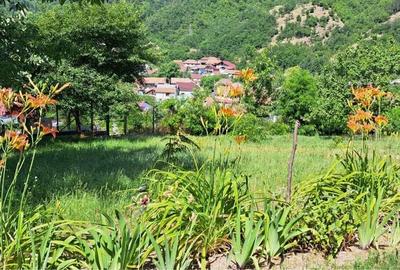 Casă cu 3 camere în Bahna - 7