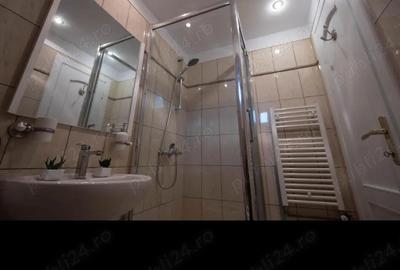 Garsoniera de inchiriat Sibiu zona centrala - 4