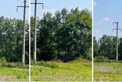 Teren Poiana Zvoristea cota parte 1/2, ID: R2850731 - 1