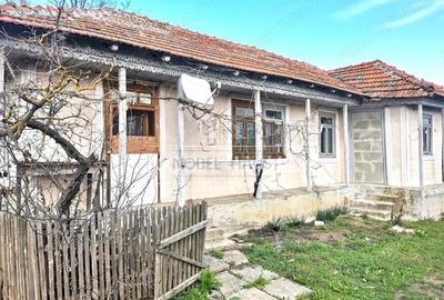 Casă cu Teren 4600 Mp în Sârbi - 8