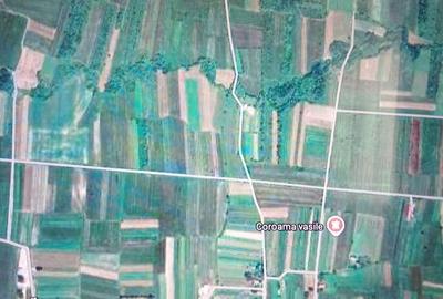 Spațiu comercial, în Vicovu de Sus - 3