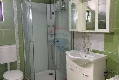 Casa / Vila cu 4 camere de inchiriat in orasul Pantelimon Casa / Vila cu 4 camere de inchiriat in orasul Pantelimon - 14