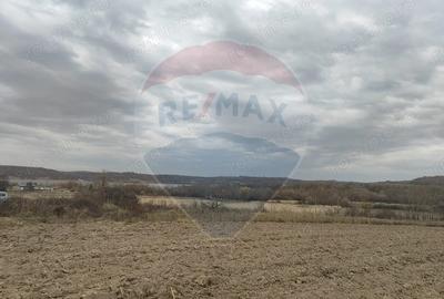 Teren de 11900 mp, în Fârdea - 6