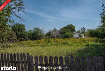 Casă cu 4 camere cu Teren 2106 Mp în Topraisar - 8