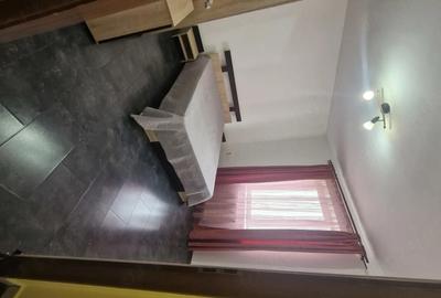 Garsonieră decomandată în Turnișor - 1
