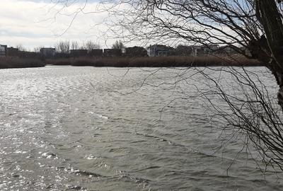 Teren de vanzare la Lac, Corbeanca - 9