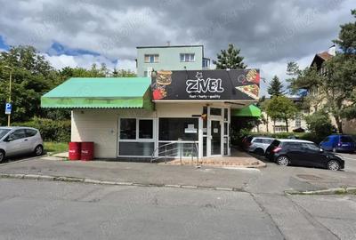Spațiu comercial, de 70 mp, în Astra - 1