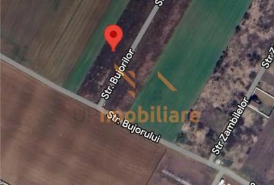 Teren de 547 mp, în Sântandrei - 3