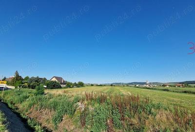 Teren în Criș - 2
