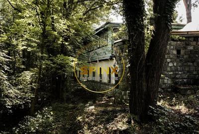 Vila Zoldy, 21.823 mp teren cu iesire catre paraul Prahova Vila Zoldy, 21.823 mp teren cu iesire catre paraul Prahova - 13