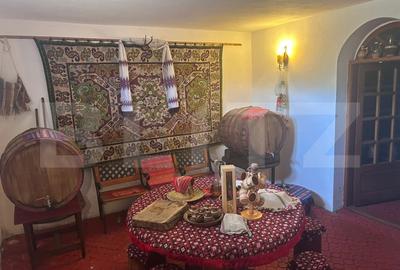 Casă individuală cu 7 camere cu Teren 17000 Mp în Exterior Est - 19