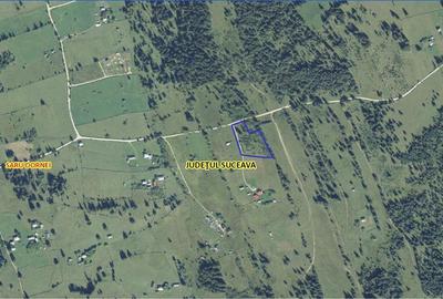 Teren Construcții intravilan de 6000 mp, în Șaru Dornei - 6