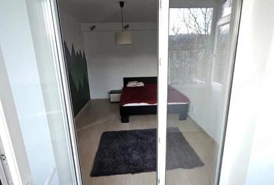 Apartament cu 2 camere semidecomandat în Tudor Vladimirescu - 7