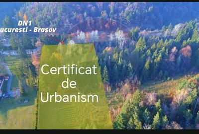 Teren Construcții intravilan de 10000 mp, în Timișu de Jos - 10