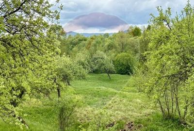 Teren agricol extravilan de 20876 mp, în Breb - 7