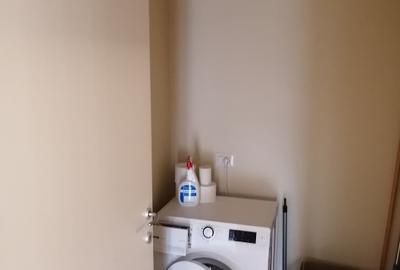 Apartament cu 2 camere nedecomandat, mobilat în Central - 8