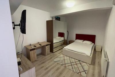 Garsonieră decomandată în Podu Roș - 1