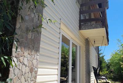 Casă cu 3 camere cu Teren 2500 Mp în Drajna - 3