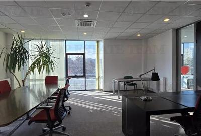 Splaiul Unirii - TImpuri Noi inchiriere spatiu birouri 7 locuri de parcare terasa - 16