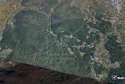 Posibilitate investitie,teren in Faget, Drumul Sfantului Ioan,UTR-Aapp - 3