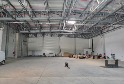 Spațiu industrial, de 1,450 mp, în Sud-Est - 4