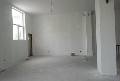 Theodor Pallady  300 mp - 3