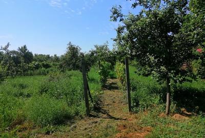 Casă cu 2 camere în Șag - 7