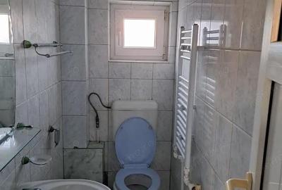 Casă cu 2 camere cu Teren 892 Mp în Băcia - 15