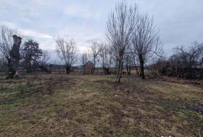 Casă cu 3 camere cu Teren 1800 Mp în Mogoșești - 11