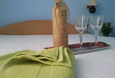 Casă cu 8 camere în Sânmartin - 10