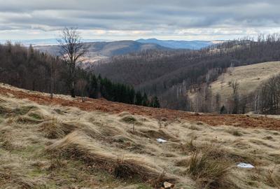 19,5 Ha  TEREN PEISAJ PANORAMIC SPECTACULOS zona turistica montana BULZ -  BIHOR - 7