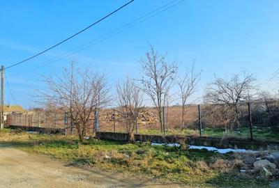 Teren Construcții intravilan de 7400 mp, în Sibioara - 5